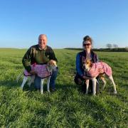 Martin and Joanna with Thorn Belle puppy winner and Thorn Fire open maiden winner opening day double