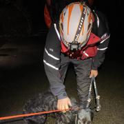 The mountain rescue team with the dog