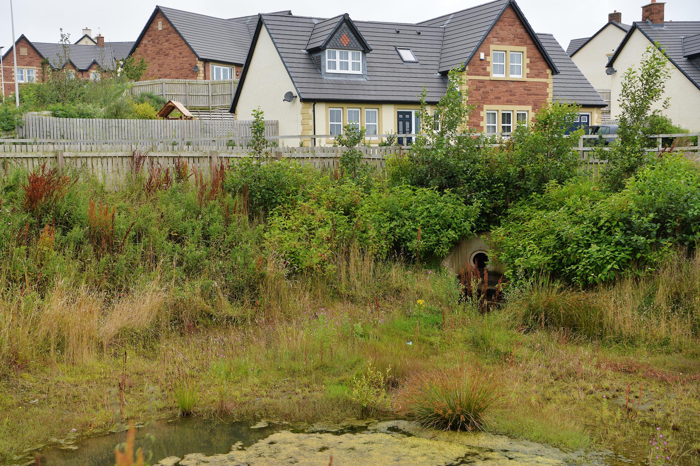 Wilson Howe Pond on the Story Homes development in Whitehaven.PHOTO TOM KAY 6 AUGUST 2019.
