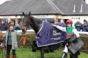 Uptown Harry - pictured with Jane Walton and Ross Chapman - won one of Sunday's big races