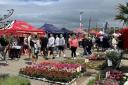 BOOST: Business and council set to give Whitehaven a boost with Continental Markets post Covid