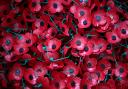 Assembled poppies ready to be dispatched as final preparations are made ahead of this year's PoppyScotland Appeal and Remembrance Day at the Lady Haig's Poppy Factory in Edinburgh. PRESS ASSOCIATION Photo. Picture date: Tuesday October 24, 2017.