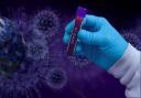 Seven new coronavirus deaths