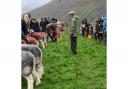 Wasdale Shepherds' Meet