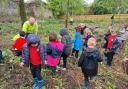 TREES: Schoolchildren plant a forest