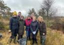 CARBON: Delkia Egremont team plant trees to help their net zero goal
