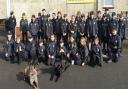 School pupils meet the police dogs