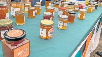 Whitehaven News: Entries at the annual show 