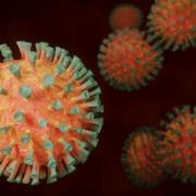 Coronavirus: Latest figures across Cumbria
