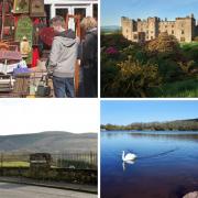 WEEKEND: Top 10 things to do in Copeland