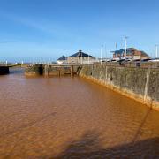 Concerns over environmental impact of polluted water in town's harbour