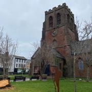 The decades-old cherry tree has been cut down in St Nicholas' Gardens