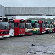 Leyland Nationals lined up at Lillyhall during LN51
