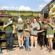Staff at Whitehaven Garden Centre celebrate 20 years of business.