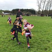 Whitehaven Sharks at the Cockermouth rugby festival